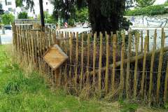 Habitate-Trier-4