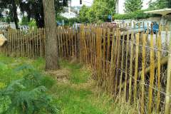 Habitate-Trier-5