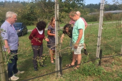 Kerstin-Celina-Sturmtief-Bernd-2019-11