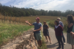 Kerstin-Celina-Sturmtief-Bernd-2019-22