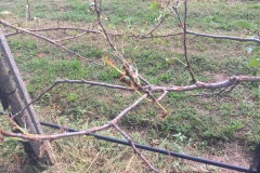 Kerstin-Celina-Sturmtief-Bernd-2019-7