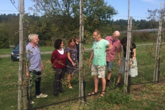 Kerstin-Celina-Sturmtief-Bernd-2019-9