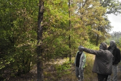 Waldexkursion Grüne-Kleinostheim im Hanauer Forst