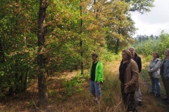 Waldexkursion Grüne-Kleinostheim im Hanauer Forst