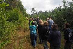 Waldexkursion Grüne-Kleinostheim im Hanauer Forst