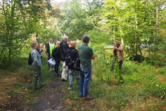 Waldexkursionsgruppe 03.08.2019