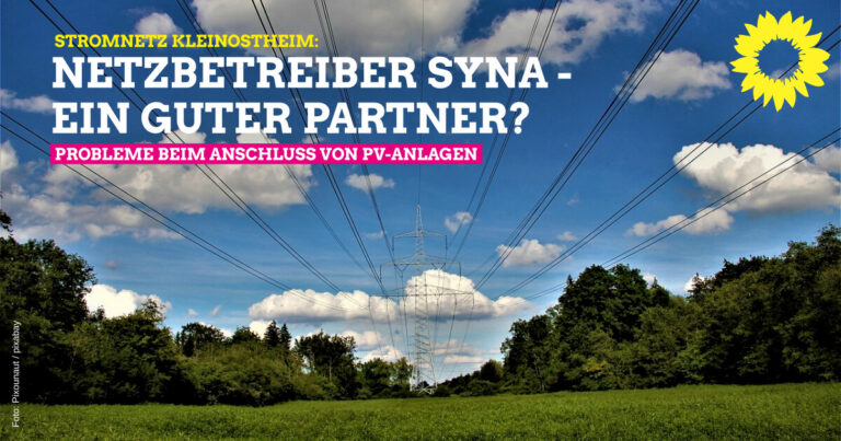 Ist die Syna die richtige Netzbetreiberin für unser Stromnetz?