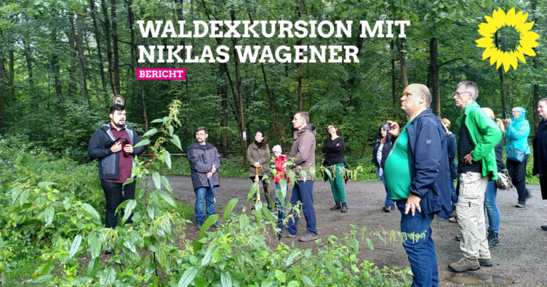 Walderkundung mit Niklas Wagener