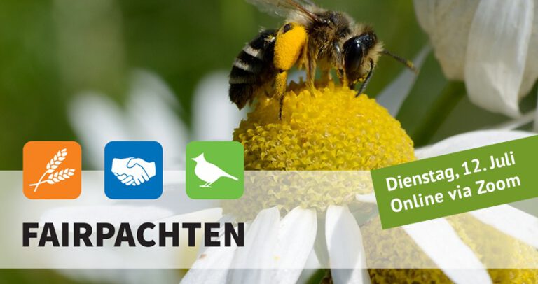 Online-Vortrag: Fairpachten – Gut beraten: Mehr Naturschutz für Kommunen