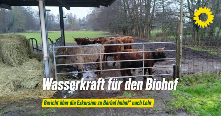 Wasserkraft für den Biohof – Ausflug nach Lohr