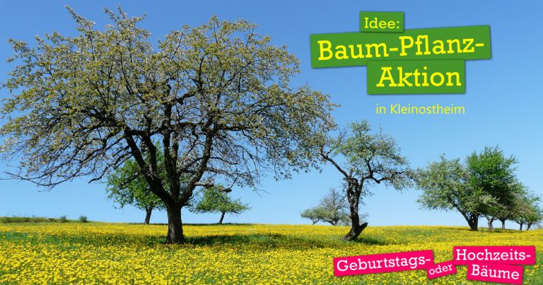 Idee: Baumpflanz-Aktion