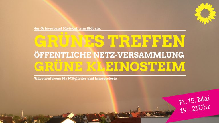 Grünes Treffen (öffentliche Videokonferenz)