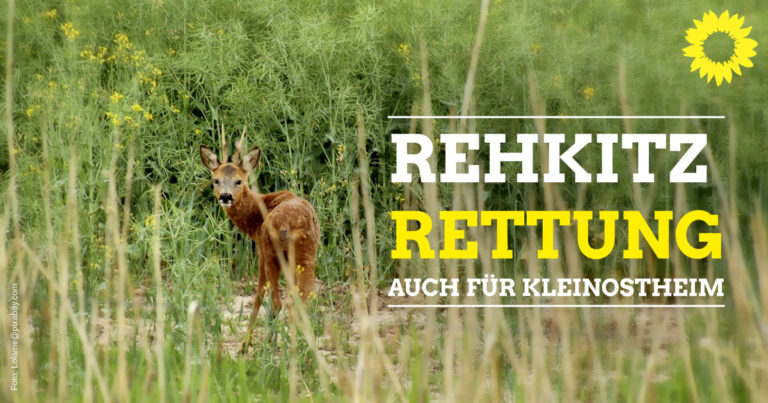 Vorschlag: Rehkitz-Rettung