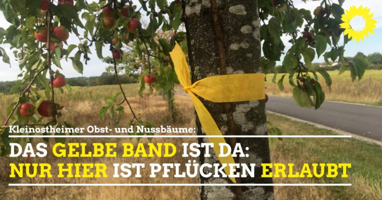 Das gelbe Band am Baum ist da