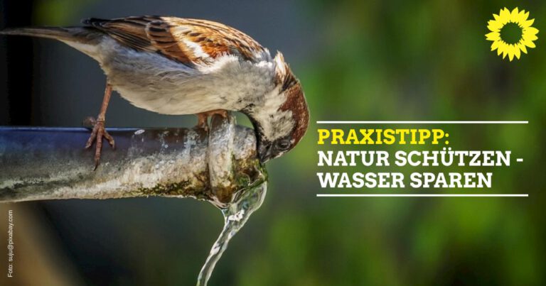 Natur schützen – Wasser sparen