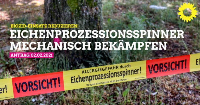 Antrag: Eichenprozessions-Spinner mechanisch bekämpfen