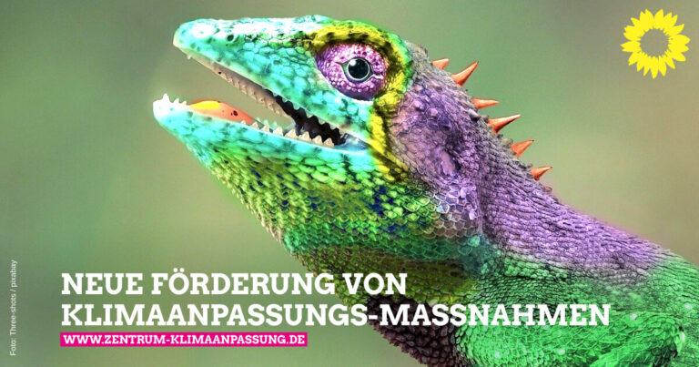 Neue Förderung von Klimaanpassungs-Maßnahmen