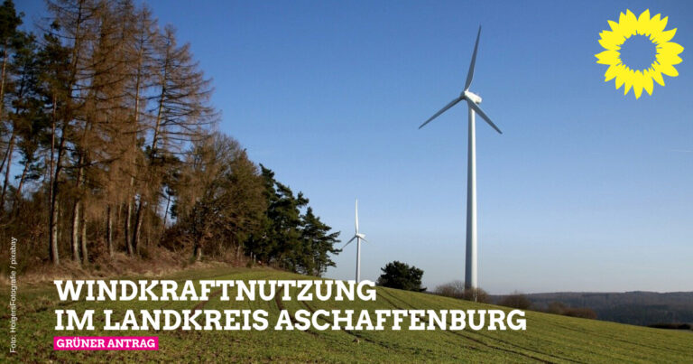 Grüne fordern schnelleres Vorankommen beim Klimaschutz in der Region