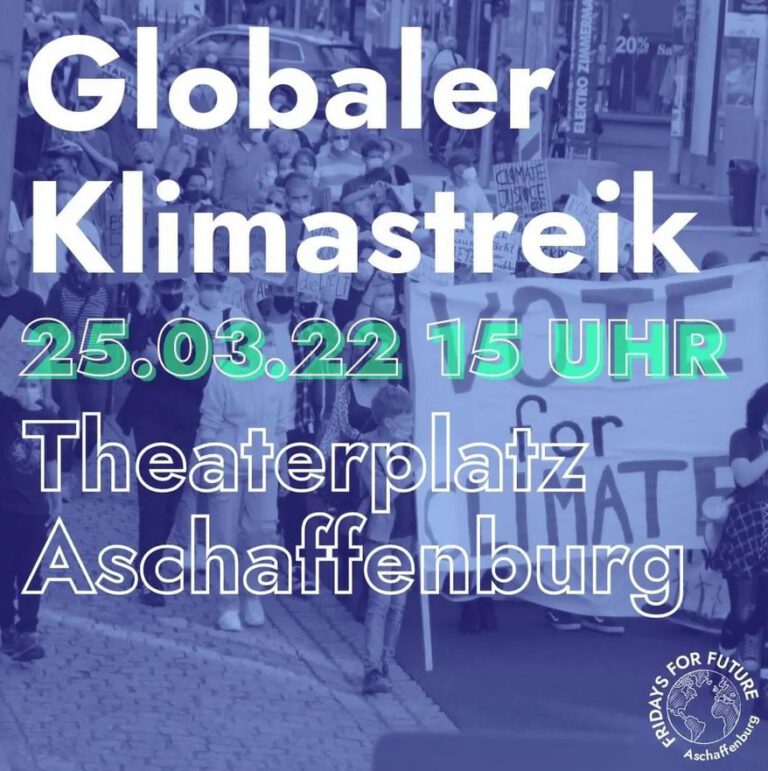 Klimademo von Fridays for Future