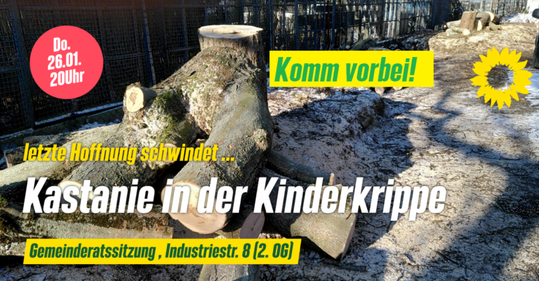 Wieder im Gemeinderat am Do. 26.01.: Kastanie in der Kinderkrippe