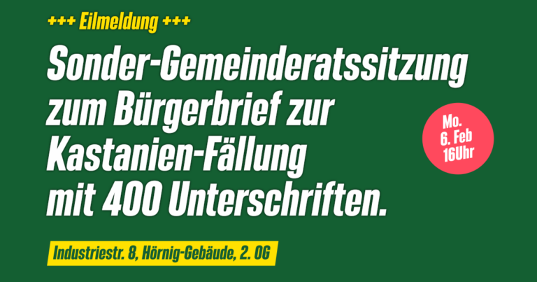 Sondersitzung des Gemeinderates