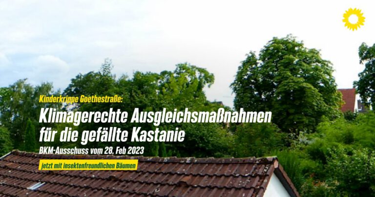 Klimagerechte Ausgleichsmaßnahmen für die gefällte Kastanie