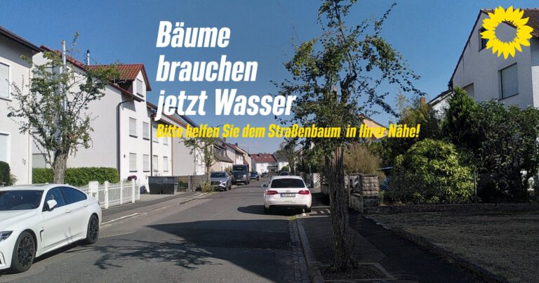 Straßen-Bäume brauchen jetzt Wasser