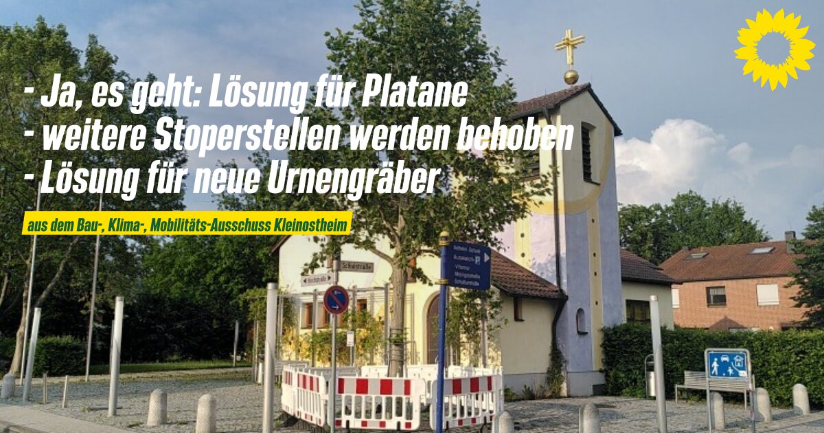 Platane vor der Sankt Markus Kirche hin Kleinostheim