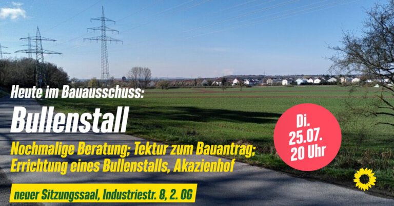 Bullenstall im Main-Echo und im Bauausschuss (mit Update)