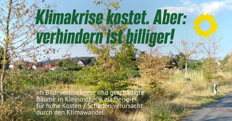 Klimakrise kostet, verhindern ist billiger!