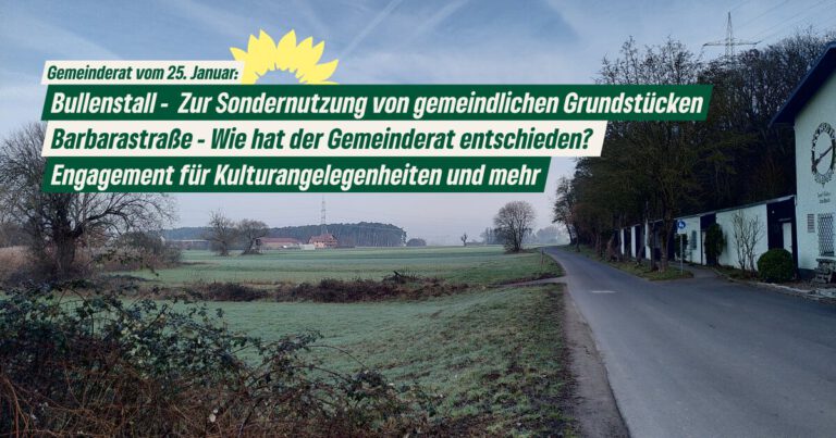 Gemeinderat vom 25. Januar: