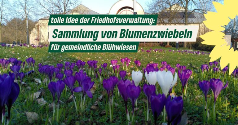 Sammlung von Blumenzwiebeln für Blühwiesen