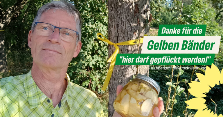 Gelbe Bänder oder „Sommer im Glas“