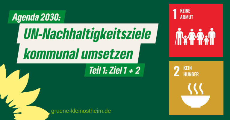 UN-Nachhaltigkeitsziele kommunal umsetzen (Teil 1)