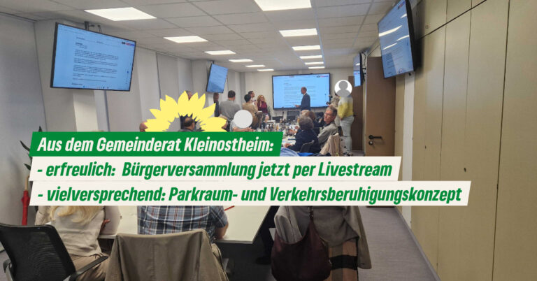 Der Sommer ist vorbei – Gemeinderat tagt jetzt ohne Ausschüsse*
