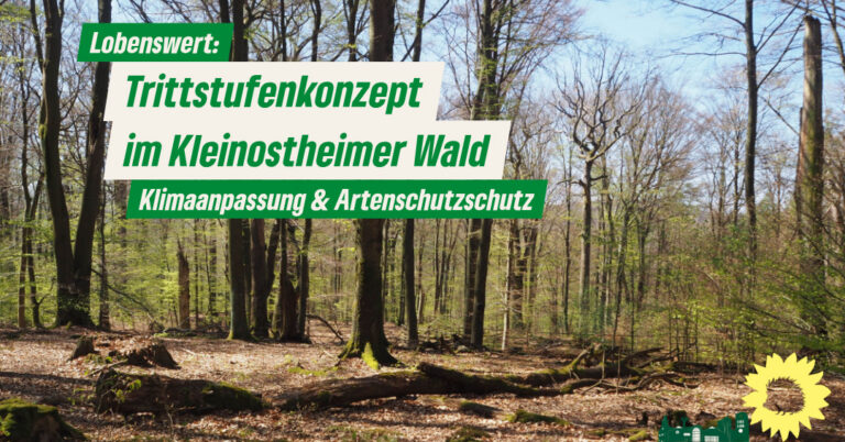 Danke für das Trittstufenkonzept im Wald