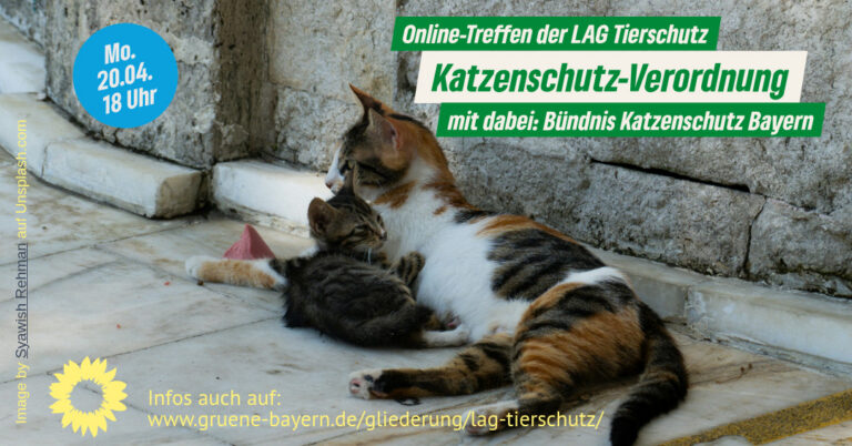 Online-Treffen der LAG Tierschutz: Katzenschutzverordnung