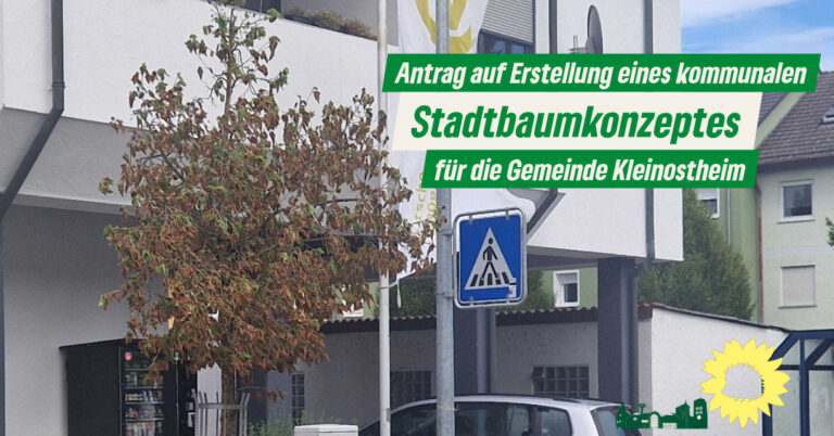Antrag auf Erstellung eines kommunalen Stadtbaumkonzeptes
