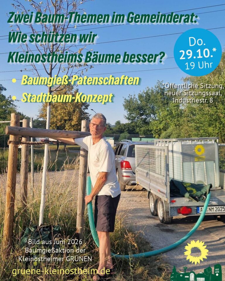 Zwei Baum-Themen im Gemeinderat: Wie schützen wir Kleinostheims Bäume besser?